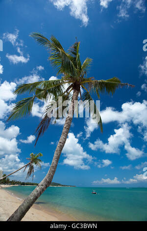 Maenam Beach oder Ao Menam, Hut Mae Nam, Kho Samui, Provinz Surat Thani, Thailand, Asien Stockfoto