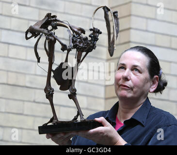 Dr. Clem Fisher, Kurator für Wirbeltierzoologie, beschäftigt sich mit einem seltenen Skelett des seit mehr als 300 Jahren ausgestorbenen Dodo, das im World Museum Liverpool ausgestellt ist. Stockfoto