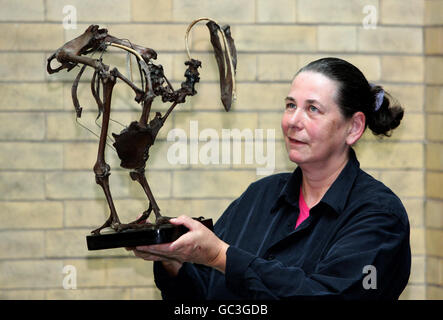 Dodoskelett auf dem Display im World Museum Liverpool Stockfoto