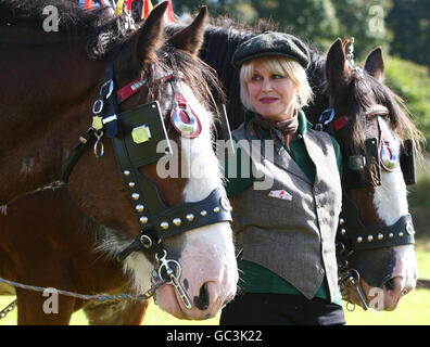 Schauspielerin Joanna Lumley posiert neben zwei Clydesdale-Pferden bei einer Pferdepflügerveranstaltung auf der Farm, auf der Robert Burns lebte, Ellisland Farm, Holywood Road, Auldgirth. Stockfoto