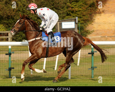 Pferderennen - Huntingdon Racecourse. Der Jockey Johnny Farrelly auf Tabaran wird in der Spreadex-Hürde für Sport- und Finanzmarktwetten-Wetten für Handicap-Hürden posten Stockfoto