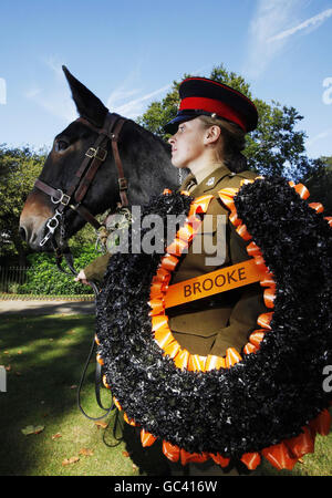 Gunner Lane, eine dienende Gunner mit der Königstruppe, Royal Horse Artillery mit ihrem Maultier Meg, bereitet sich darauf vor, einen Kranz an Londons Tieren im war Memorial zu legen, um die Brooke's Remember the Horse Heroes Kampagne zu unterstützen. Stockfoto