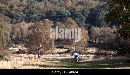 Ein Radfahrer genießt die Herbstfarben in Sutton Park, Sutton Coldfield, West Midlands. Stockfoto