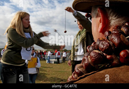 Bräuche und Traditionen - Conker-Weltmeisterschaften - Ashton. Ein Teilnehmer nimmt an den Conker-Weltmeisterschaften in Ashton, Northamptonshire, Teil. Stockfoto