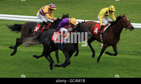 Horse Racing - Racing Post Trophy - Tag eins - Doncaster Racecourse Stockfoto