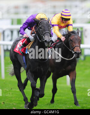 Horse Racing - Racing Post Trophy - Tag eins - Doncaster Racecourse Stockfoto