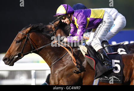 Pferderennen Sie - Willmott Dixon Gruppe Tag - Ascot Racecourse Stockfoto