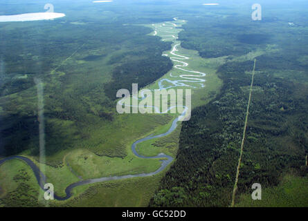 Luftaufnahme eines Standorts in der Nähe von Fort McMurray, Alberta, Kanada, wo die Prospektoren Bäume geräumt haben (rechts), um eine seismische Linie zu schaffen, um nach Ölvorkommen zu suchen. Stockfoto