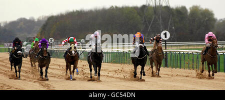 Pferderennen - Southwell Racecourse. Rowe Park unter Steve Drowne (Dritter rechts) gewinnt die Southwell-racecourse.co.uk Conditions Stakes auf der Southwell Racecourse. Stockfoto