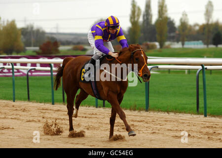 Pferderennen - Southwell Racecourse Stockfoto