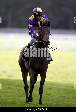 Pferderennen Sie - Willmott Dixon Gruppe Tag - Ascot Racecourse Stockfoto