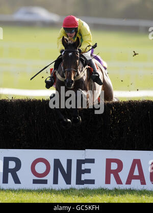 Sizing Europe, geritten von Andrew Lynch, gewinnt beim Maplewood Day auf der Punchestown Racecourse, Irland, die Craddockstown Novice Steeplechase. Stockfoto