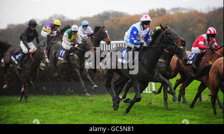 Diamond Harry von Timmy Murphy auf seinem Weg zum Sieg in der Timeform Betfair Racing Club "Fixed Brush" Handicap Hürdenrennen während der Northwest Racing Masters Betfair Chase auf Haydock Park Racecourse, Merseyside gefahren. Stockfoto