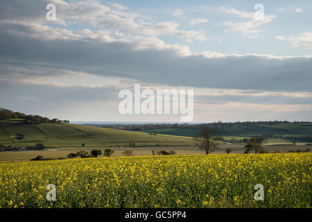 Atemberaubende englische Landschaft über Felder bei Sonnenuntergang Stockfoto