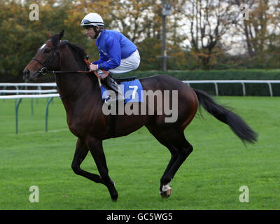 Pferderennen Sie-Nottingham Racecourse Stockfoto