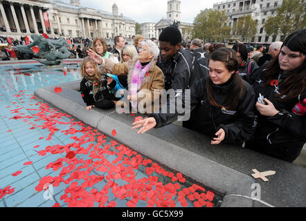 Nach einem öffentlichen Erinnerungskonzert und einer Gedichtvorlesung der Royal British Legion werden Papiermohn in einen Brunnen am Trafalgar Square in London geworfen. Stockfoto