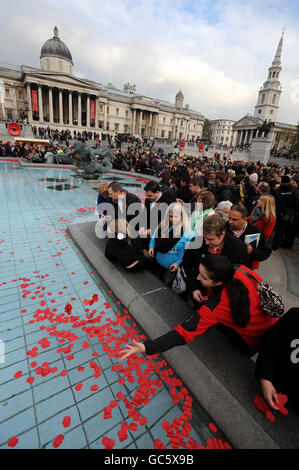 Nach einem öffentlichen Erinnerungskonzert und einer Gedichtvorlesung der Royal British Legion werden Papiermohn in einen Brunnen am Trafalgar Square in London geworfen. Stockfoto