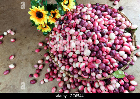 Carunda oder Karonda Obst im Korb auf den Tisch. Mit künstlichen Sonnenblumen geschmückt. Stockfoto