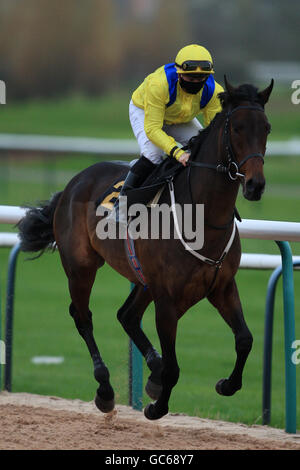 Jockey Liam Jones am Cape Quarter geht nach innen The Hospitality at Southwell Racecourse Maiden Stakes Stockfoto