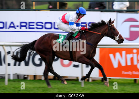 Rennen - Weihnachtsmarkttag - Uttoxeter Racecourse. Basford Bob wird von Alan O'Keeffe während der Rolux UK Intermediate Open National Hunt am Weihnachtstag auf der Uttoxeter Racecourse gefahren. Stockfoto