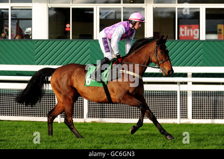 Rennen - Weihnachtsmarkttag - Uttoxeter Racecourse. Rico Hombre, der von Denis O'Regan gesessen wird, geht während des Weihnachtsmarkttages auf der Rennbahn Uttoxeter zum Posten. Stockfoto