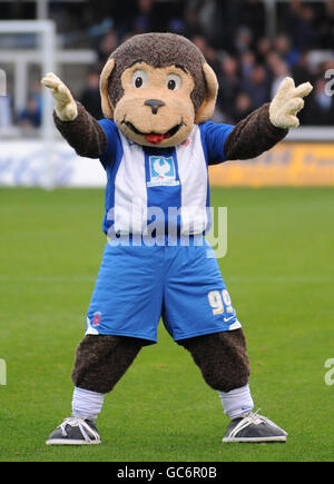 Fußball - Coca-Cola Football League One - Hartlepool United / Leyton Orient - Victoria Park. H'Angus der Affe, Maskottchen Hartlepool United Stockfoto