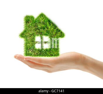 Hausgemachte grüne Gras auf der weiblichen Seite Stockfoto