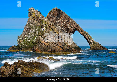 Bogen Sie Geige Rock, Portknockie, Moray Firth, Schottland, Großbritannien Stockfoto