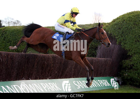 Captain Americo, geritten von Jockey Nick Scholfield, in Aktion während der Sign Up Bonus betinternet.com Anfänger Handicap Steeple Chase Stockfoto