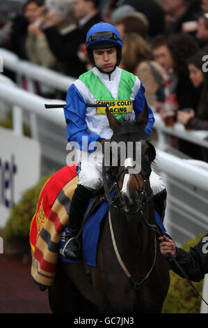 Jockey Paddy Brennan auf Mahagoni Blaze im Paradering Vor dem Keith Prowse Hospitality Tingle Creek Steeple Chase Stockfoto