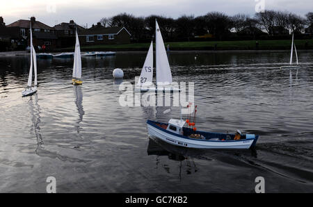 Modellyacht-Rennen Stockfoto