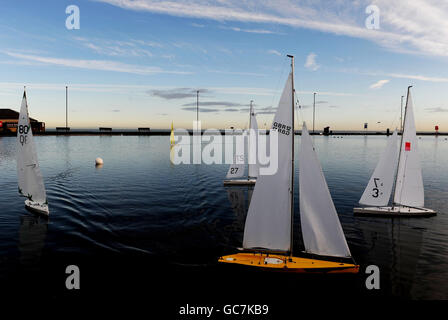 Modellyacht Racing. Mitglieder des Tynemouth Yacht Clubs treffen sich, um im Tynemouth Park, Newcastle upon Tyne, riesige Modellyachten zu fahren. Stockfoto