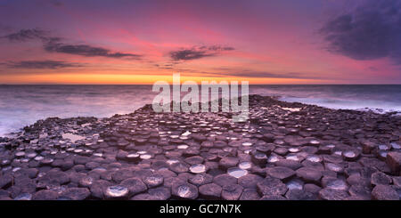 Sonnenuntergang über den Basalt Felsformationen des Giant's Causeway auf der Küste Nordirlands. Stockfoto