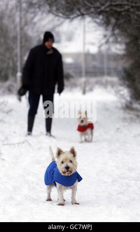 Gesamtansicht der verschneiten Bedingungen in der Nähe von Bathgate in Schottland. Stockfoto