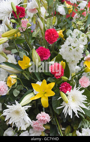 Anzeige der Schraubenset Schnittblumen frisch Stockfoto