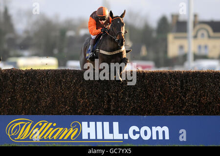 Pferderennen - William Hill Winter Festival 2009 - Erster Tag - Kempton Park Racecourse. Jockey Sam Waley-Cohen auf dem langen Weg zum Sieg der Feltham Novices' Chase williamhill.com Stockfoto