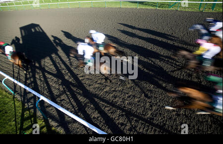 Pferderennen - Lingfield Rennbahn Stockfoto