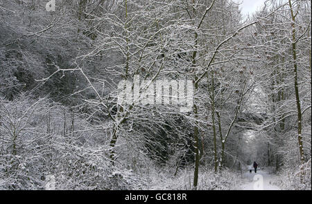 Winterwetter Stockfoto