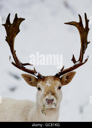 Winterwetter Stockfoto