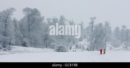 Kinder ziehen Schlitten durch Knole Park, Sevenoaks, Kent, während eine frische Schneeflut über Nacht wieder Elend für Reisende brachte. Stockfoto