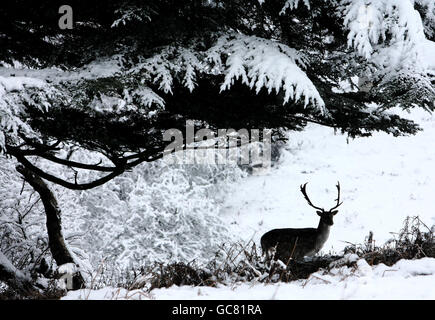 Winterwetter Stockfoto