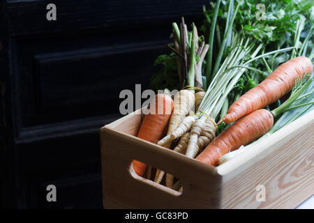 große hölzerne Kiste voller roh, frisch geerntet, Gemüse auf dunklem Hintergrund Stockfoto