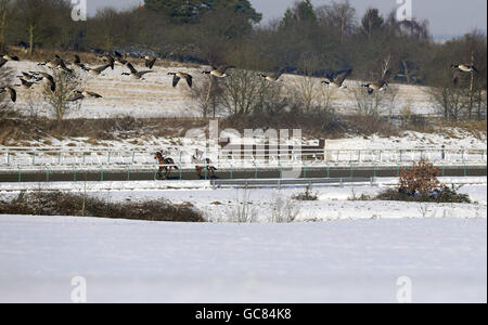 Pferderennen - Rennbahn Lingfield. Gänse fliegen über den Kurs, während Läufer zum Auftakt auf der Lingfield Racecourse, Ascot, starten. Stockfoto
