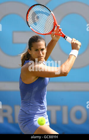 Tennis - AEGON International - Tag vier - Devonshire Park Stockfoto