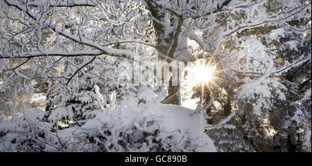 Allgemeine Ansicht zeigt verschneite Bedingungen in Corvichen, Schottland, als Schnee und Eis weiterhin verheerende Schäden in ganz Großbritannien anrichteten. Stockfoto