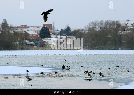 Ein allgemeiner Blick auf den Watermead Country Park in Thurmaston, Leicester, wo gestern Nacht zwei Brüder starben, nachdem sie durch einen gefrorenen See gefallen waren. Stockfoto