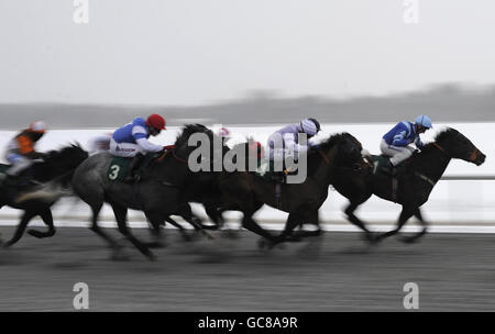 Läufer Rennen in Richtung Ziel Betdaq am 0800 178 1221 Handicap auf Lingfield Racecourse. Stockfoto