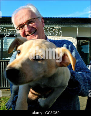 Der Minister für Umwelt, Kulturerbe und Kommunalverwaltung John Gormley stellt sich mit Eggnogg, einem der Welpen im DSPCA-Tierheim in Rathfarnham, Dublin, wo er Details zur Veröffentlichung des Gesetzes 2009 über Hundezuchteinrichtungen bekannt gab. Stockfoto