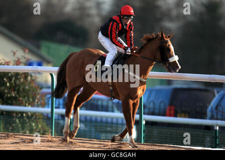 Pferderennen - Southwell Racecourse. Jockey Jimmy Quinn im Northern Empire nach dem Rennen im Totepool bleiben unsere Gewinne im Racing Handicap Stockfoto