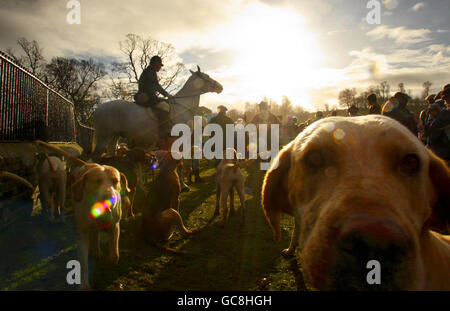 Mitglieder der Chiddingfold, Leconfield und Cowdray Hunt treffen sich zum traditionellen Boxing Day bei den Zwingern im Petworth House, Petworth, West Sussex. Stockfoto